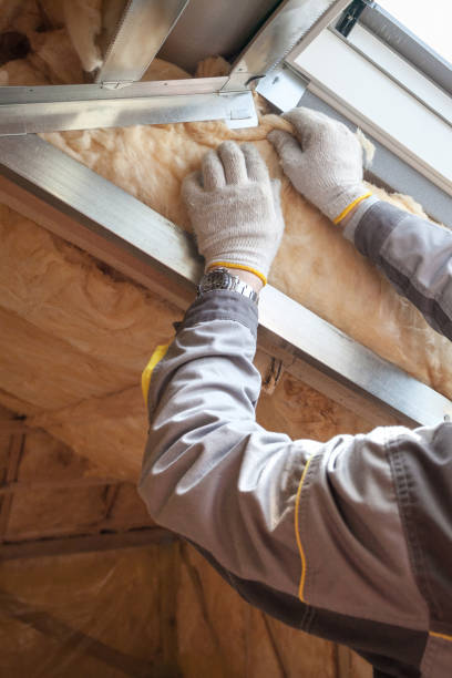 Best Specialized Insulation Services in Owosso, MI