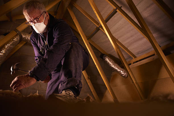 Best Cellulose Insulation in Owosso, MI